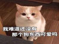 上海舜娟企业管理有限公司