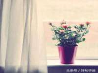 上海舜娟企业管理有限公司