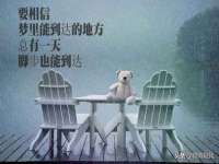 上海舜娟企业管理有限公司