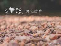 上海舜娟企业管理有限公司