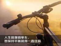 上海舜娟企业管理有限公司
