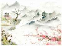上海舜娟企业管理有限公司