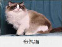 上海舜娟企业管理有限公司
