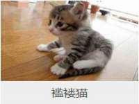 上海舜娟企业管理有限公司