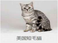 上海舜娟企业管理有限公司