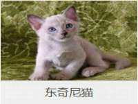 上海舜娟企业管理有限公司