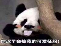 上海舜娟企业管理有限公司