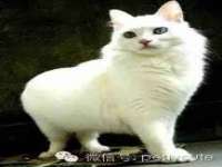 上海舜娟企业管理有限公司