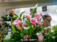 上海舜娟企业管理有限公司