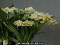 上海舜娟企业管理有限公司