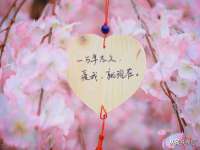 上海舜娟企业管理有限公司