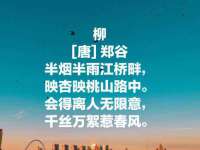 上海舜娟企业管理有限公司