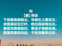 上海舜娟企业管理有限公司