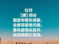 上海舜娟企业管理有限公司