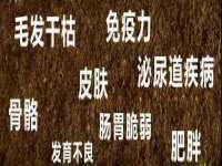 上海舜娟企业管理有限公司
