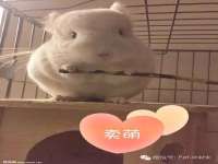 上海舜娟企业管理有限公司