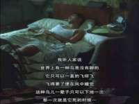 上海舜娟企业管理有限公司
