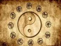 上海舜娟企业管理有限公司