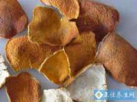 上海舜娟企业管理有限公司