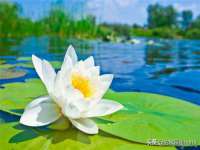 上海舜娟企业管理有限公司