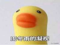 上海舜娟企业管理有限公司