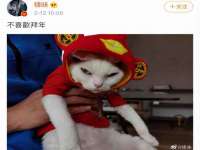 上海舜娟企业管理有限公司