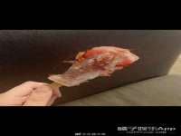 上海舜娟企业管理有限公司